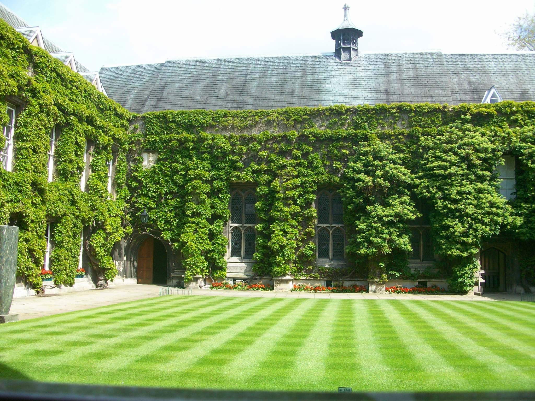 pic1